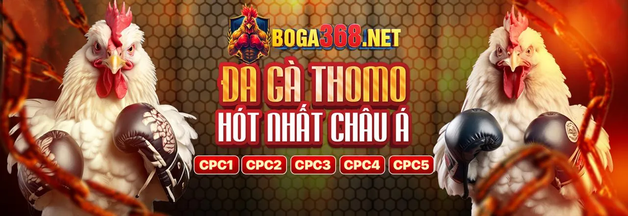 Tải ứng dụng www5555 win55