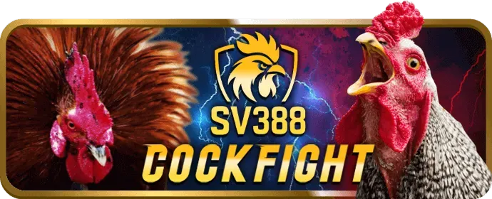 www5555 win55 ra mắt giải đấu thể thao điện tử