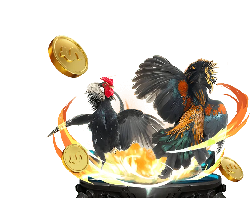 Giao diện cá cược www5555 win55